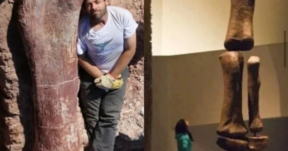 A shocking discovery in the Argentine desert… Massive fossils have just been unearthed, revealing secrets of a prehistoric creature larger than anything we’ve ever known.